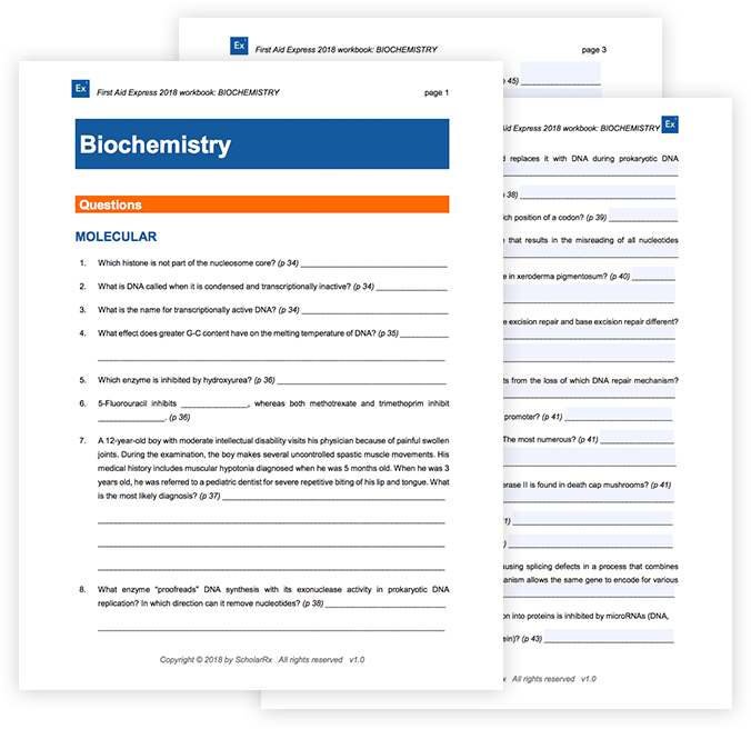 workbook